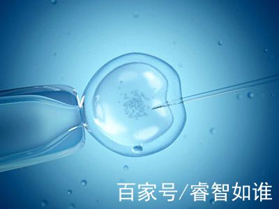 借卵代孕哪里做的最好